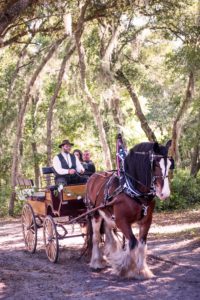central florida wedding horse carriage service