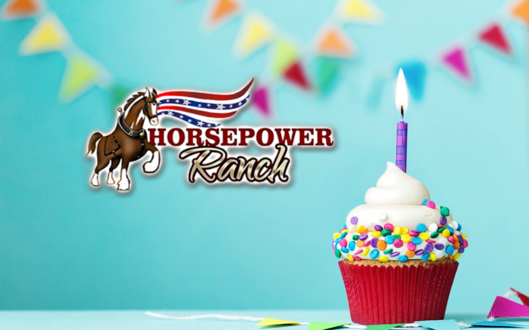Themed Birthday Party Ideas at Horsepower Ranch in Central Florida